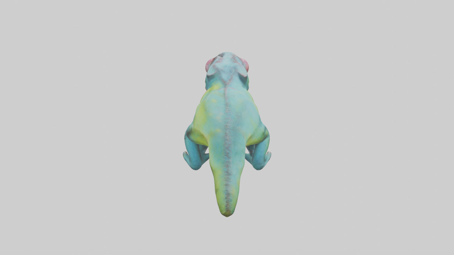 3D model Chameleon Eyes Model VR / AR / low-poly