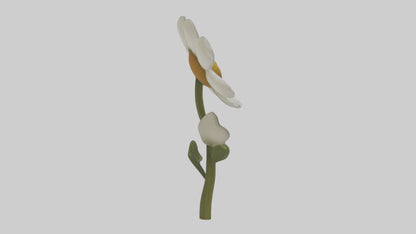 3D model Chamomile Model VR / AR / low-poly