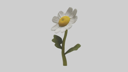 3D model Chamomile Model VR / AR / low-poly