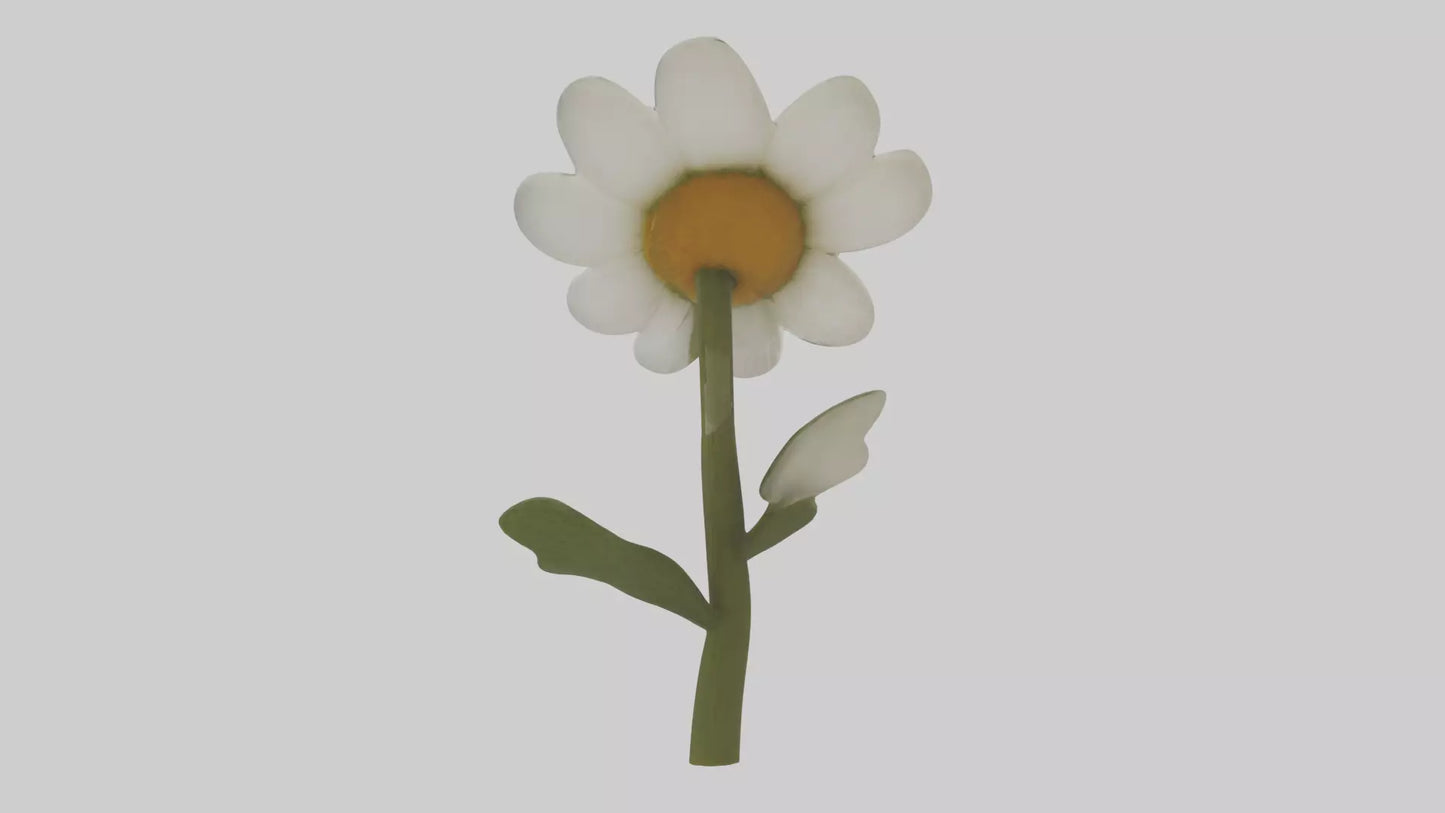 3D model Chamomile Model VR / AR / low-poly