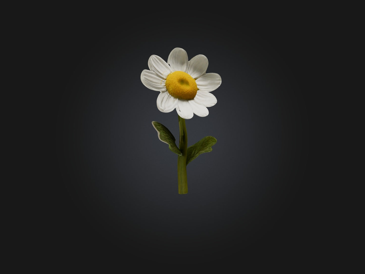3D model Chamomile Model VR / AR / low-poly