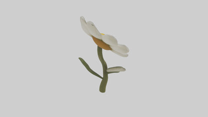 3D model Chamomile Model VR / AR / low-poly