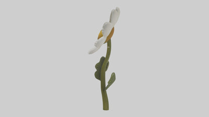 3D model Chamomile Model VR / AR / low-poly