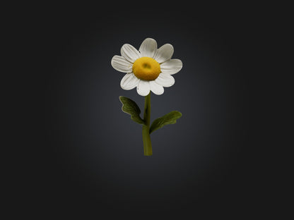3D model Chamomile Model VR / AR / low-poly