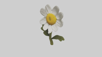 3D model Chamomile Model VR / AR / low-poly