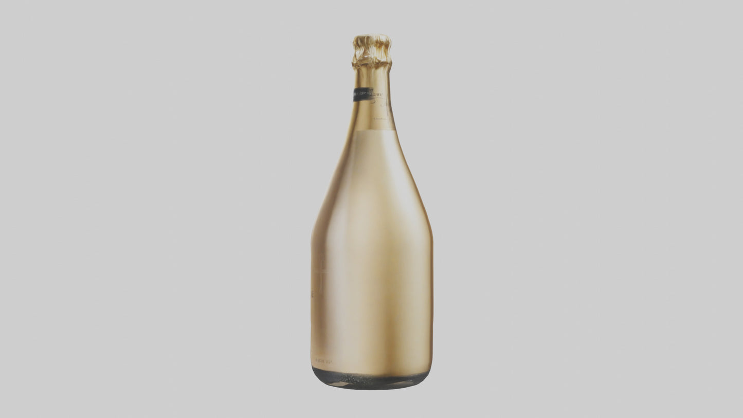Champagne model VR / AR / low-poly