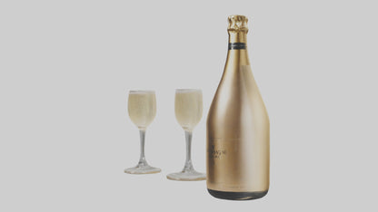 Champagne model VR / AR / low-poly