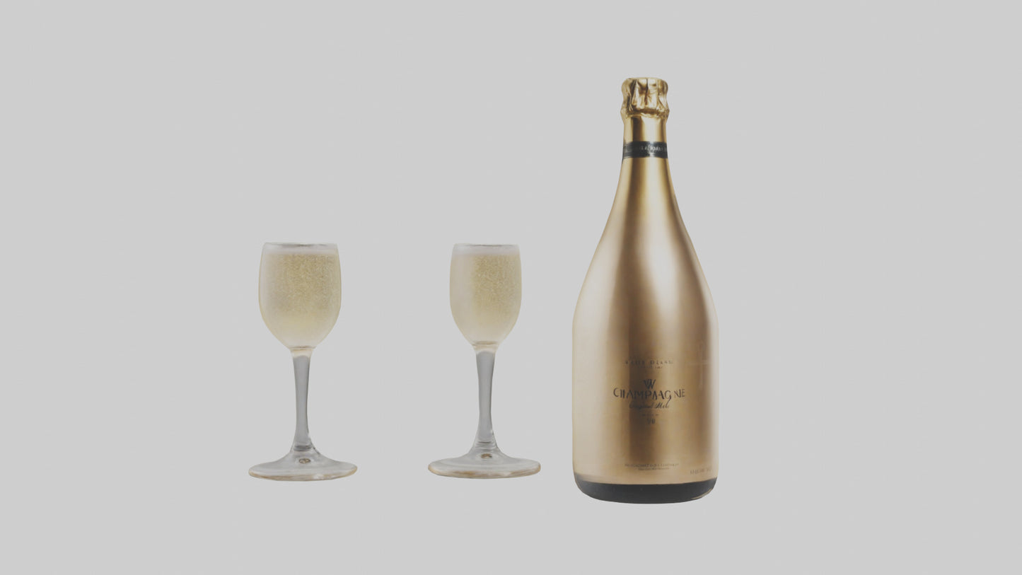 Champagne model VR / AR / low-poly