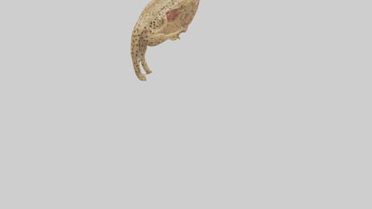 Cheese Platter model VR / AR / low-poly