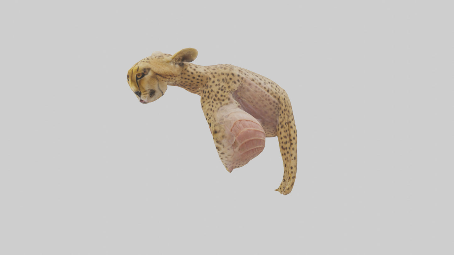 Cheese Platter model VR / AR / low-poly