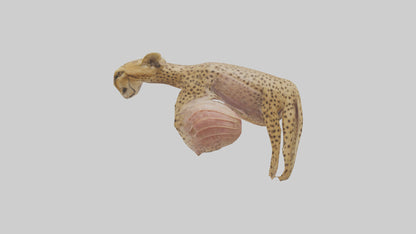 Cheese Platter model VR / AR / low-poly