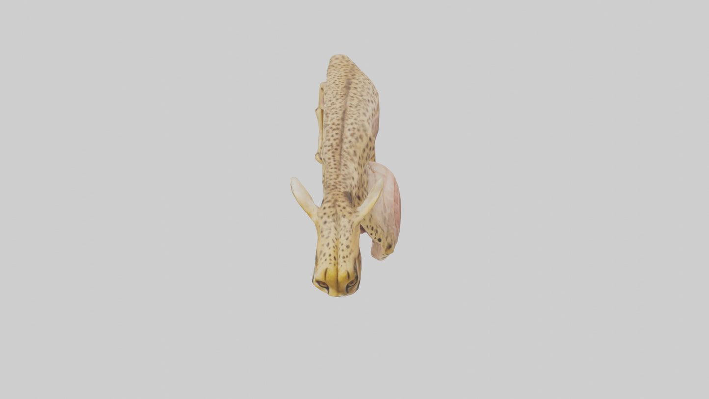 Cheese Platter model VR / AR / low-poly