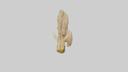 Cheese Platter model VR / AR / low-poly