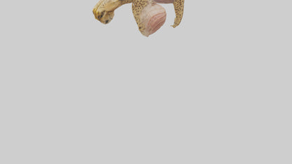 Cheese Platter model VR / AR / low-poly