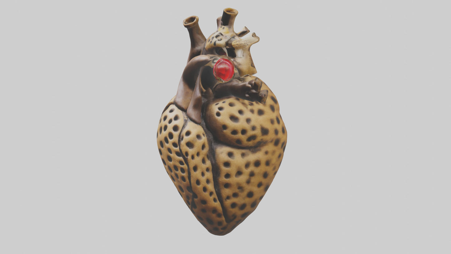 Cheetah Heart 3D model