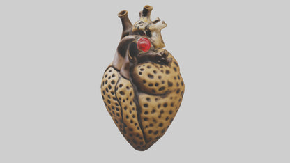 Cheetah Heart 3D model