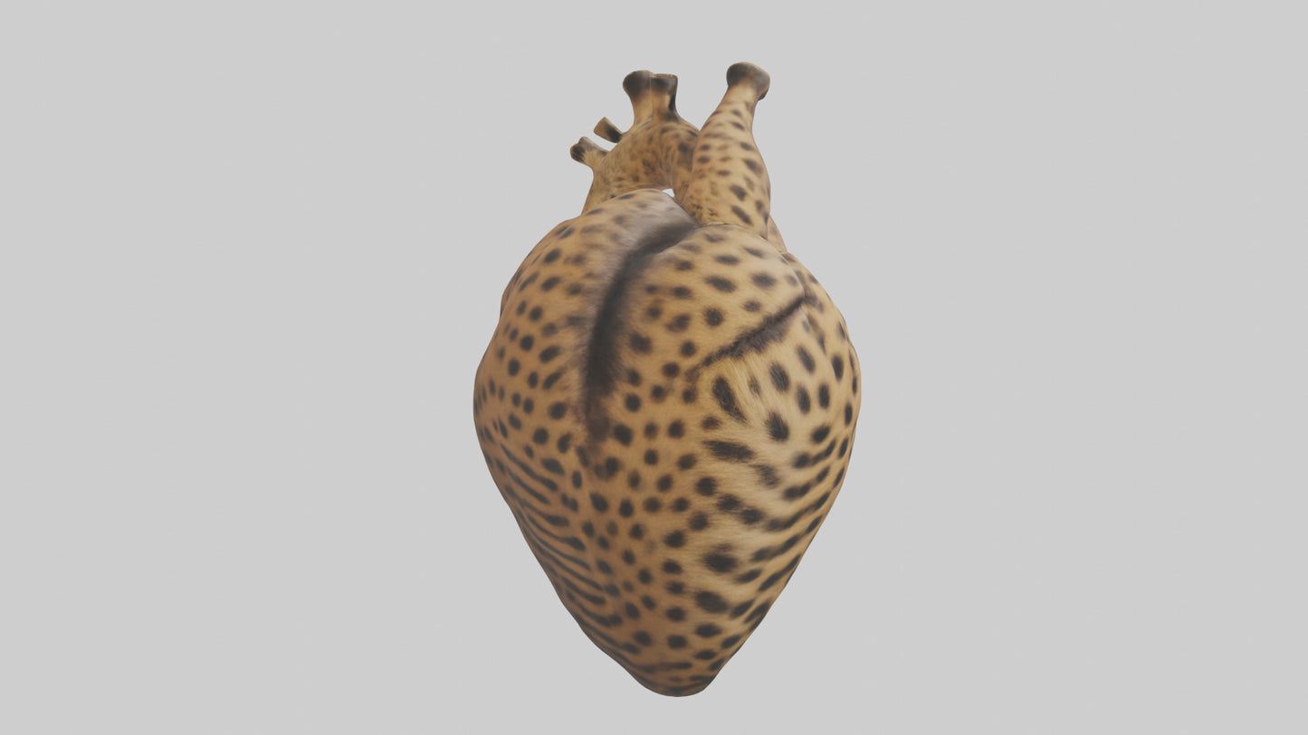Cheetah Heart 3D model
