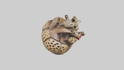 Cheetah Heart 3D model