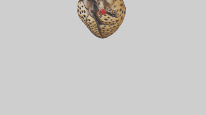 Cheetah Heart 3D model