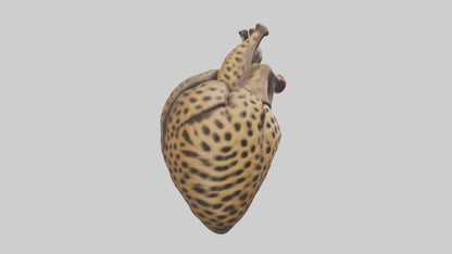 Cheetah Heart 3D model