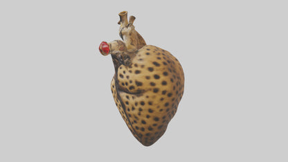 Cheetah Heart 3D model