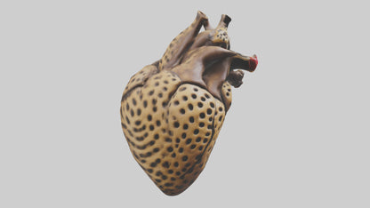Cheetah Heart 3D model