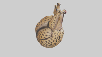 Cheetah Heart 3D model