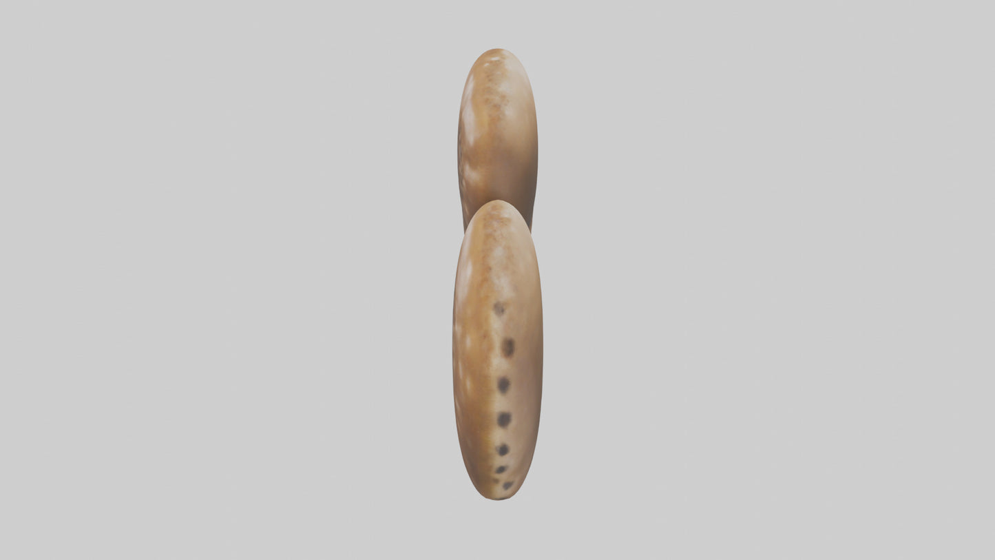 3D model Cheetah Kidneys VR / AR / low-poly