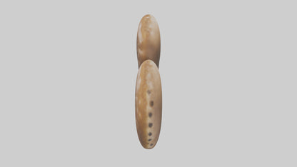 3D model Cheetah Kidneys VR / AR / low-poly