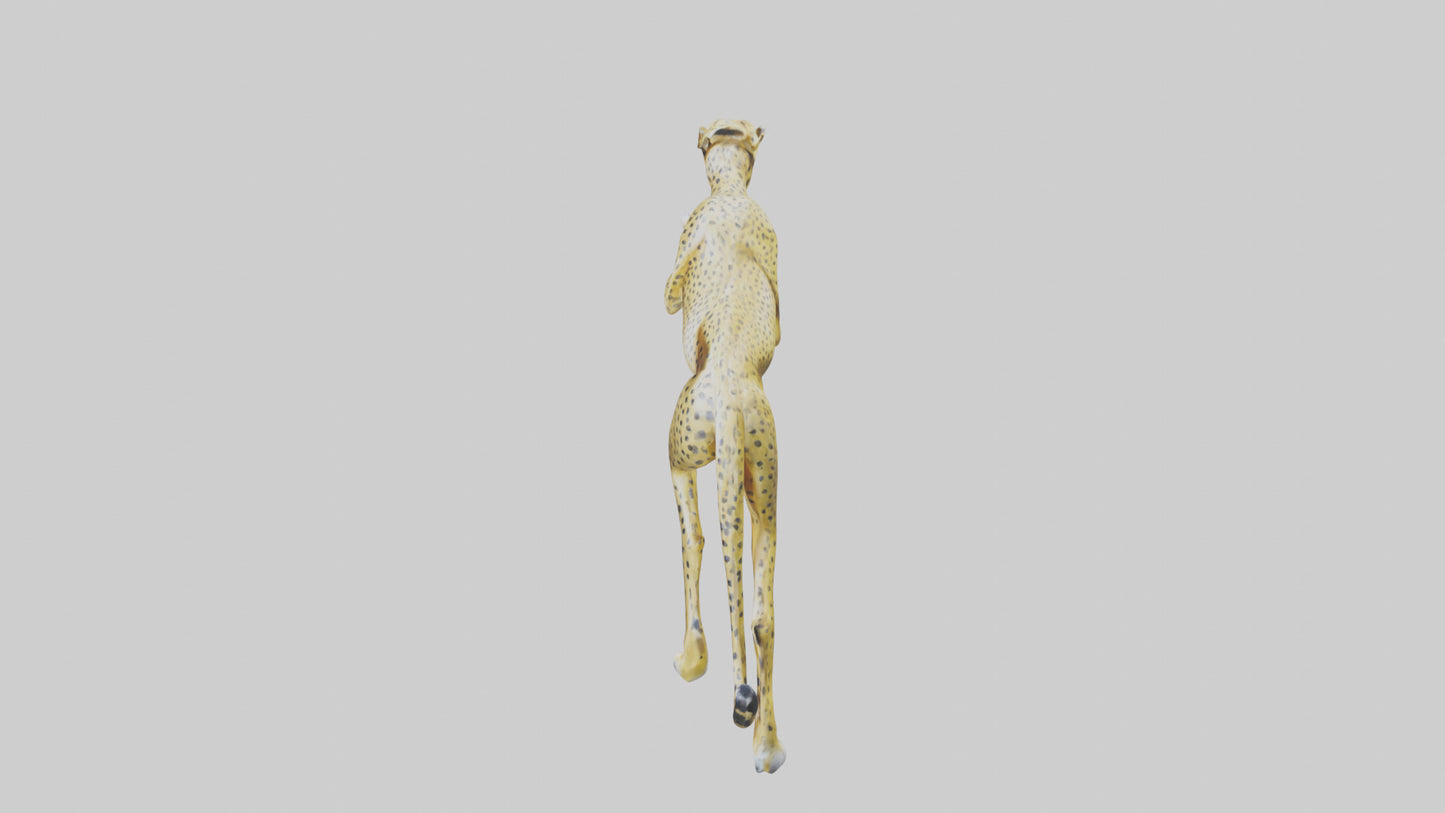 3D model Cheetah sculpture model VR / AR / low-poly