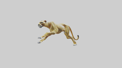 3D model Cheetah sculpture model VR / AR / low-poly
