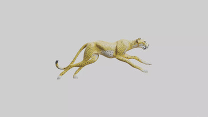 3D model Cheetah sculpture model VR / AR / low-poly