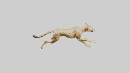 Cheetah sprinting model 3D model