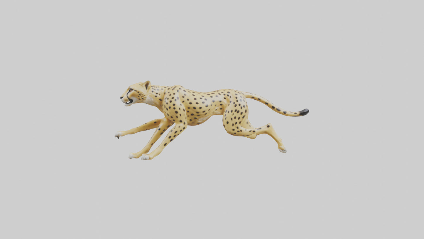 Cheetah sprinting model 3D model