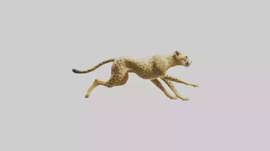 Cheetah sprinting model 3D model