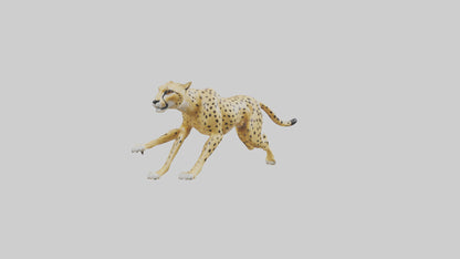 Cheetah sprinting model 3D model