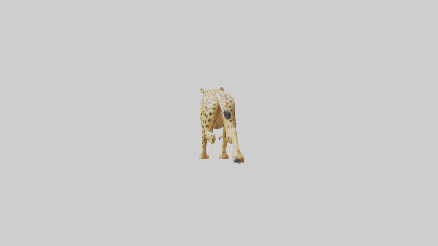 Cheetah sprinting model 3D model
