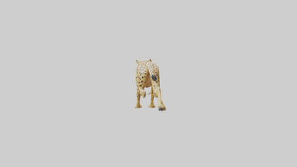 Cheetah sprinting model 3D model
