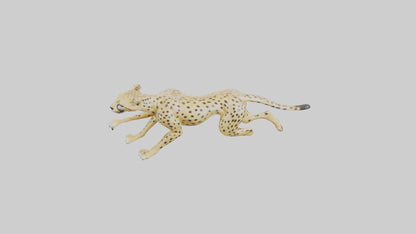 Cheetah sprinting model 3D model