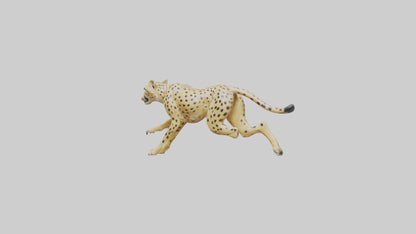 Cheetah sprinting model 3D model