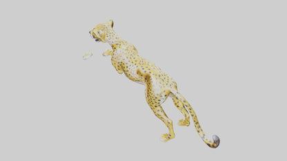 Cheetah statue model 3D model