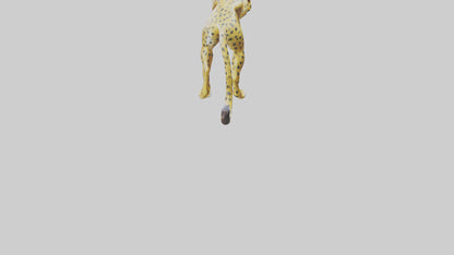 Cheetah statue model 3D model