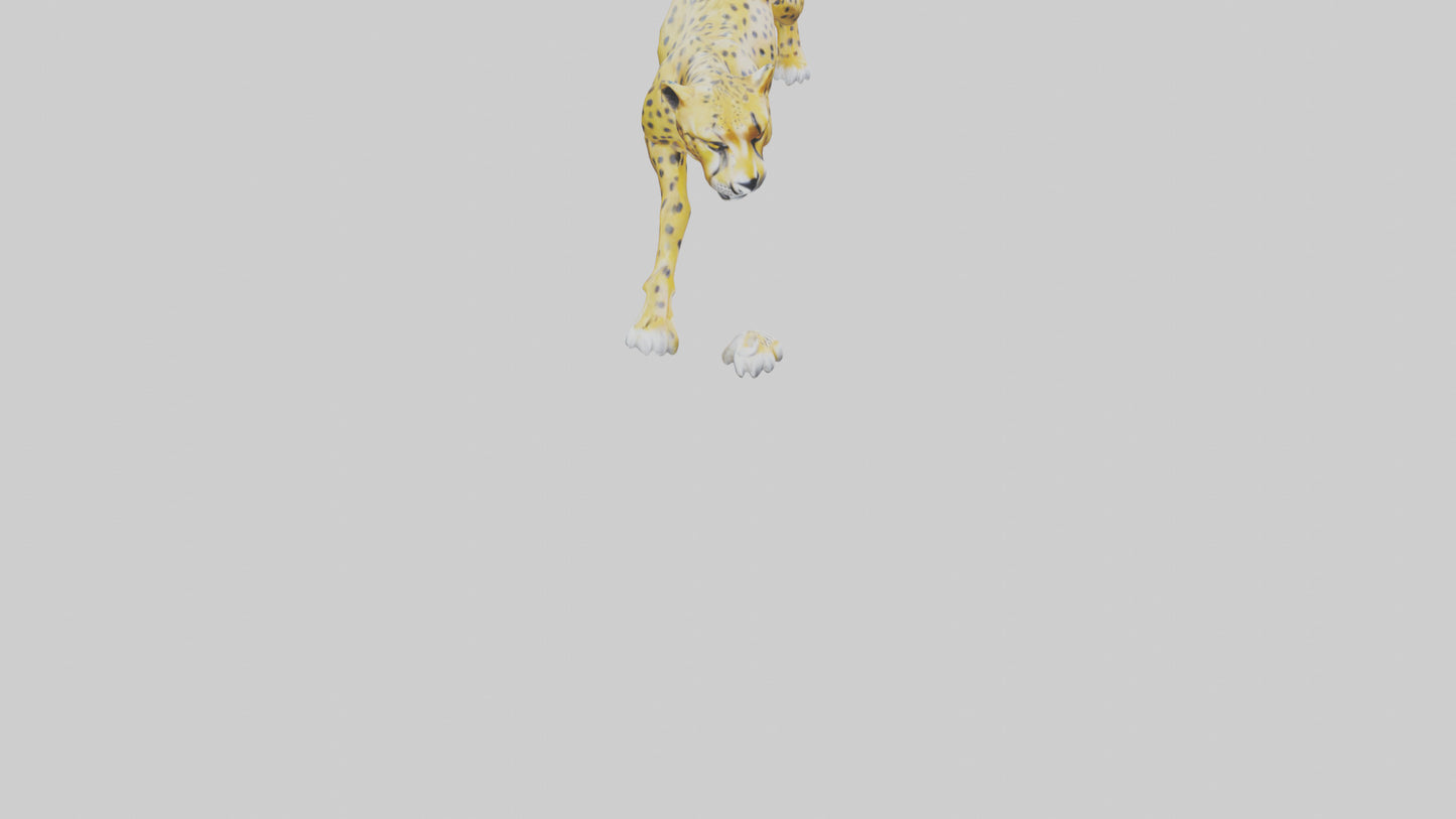 Cheetah statue model 3D model