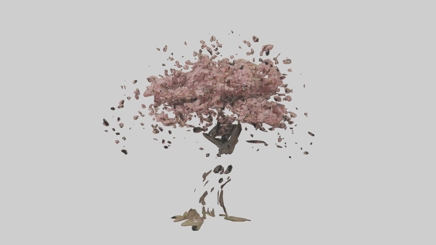 3D model Cherry tree model VR / AR / low-poly
