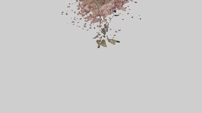 3D model Cherry tree model VR / AR / low-poly