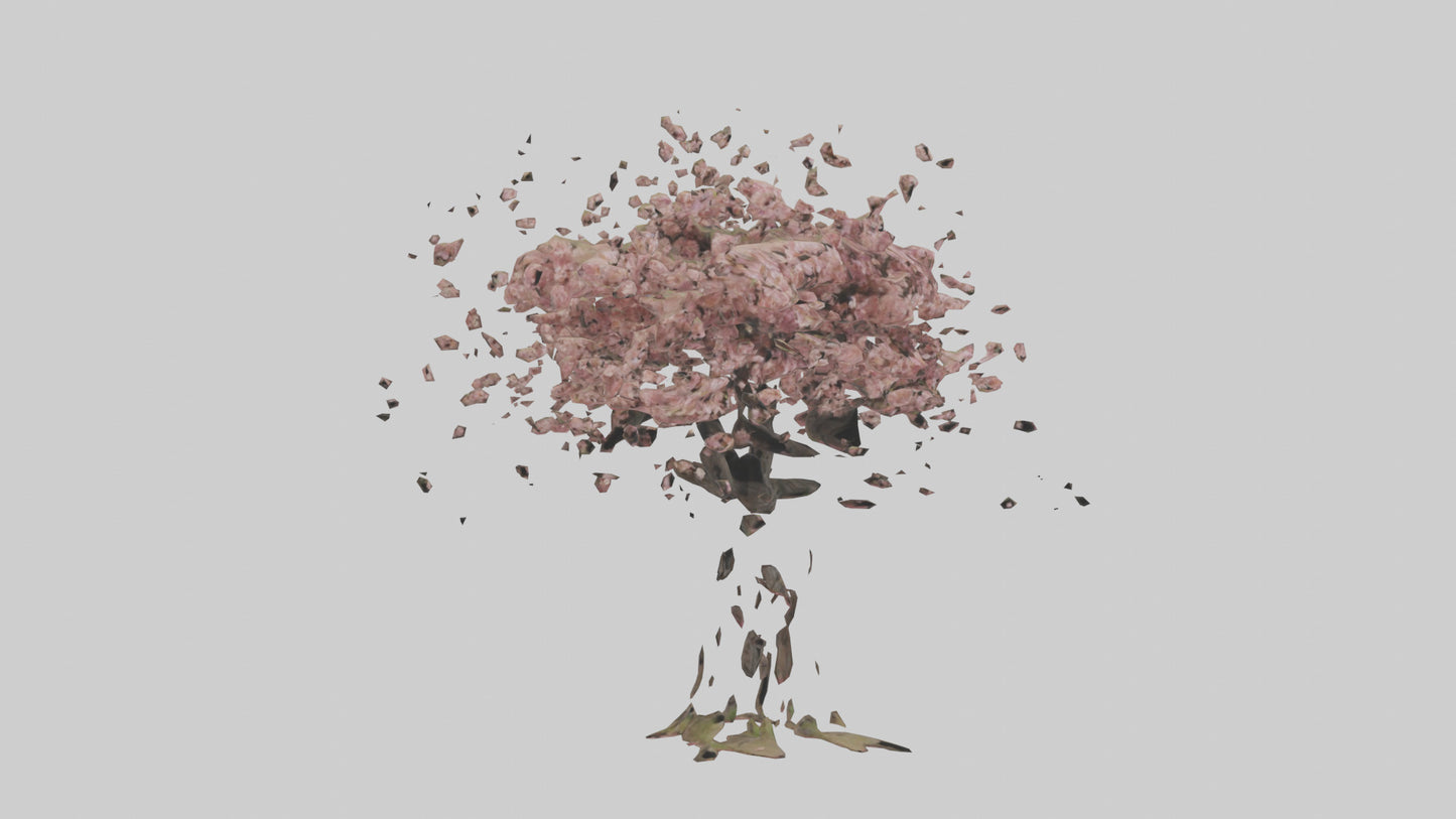 3D model Cherry tree model VR / AR / low-poly