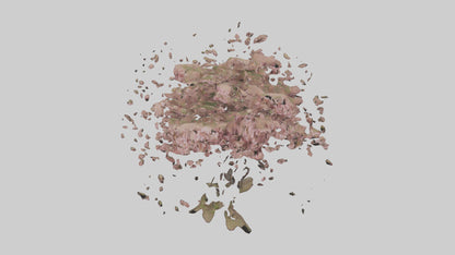 3D model Cherry tree model VR / AR / low-poly