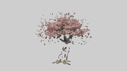 3D model Cherry tree model VR / AR / low-poly