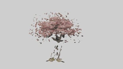 3D model Cherry tree model VR / AR / low-poly