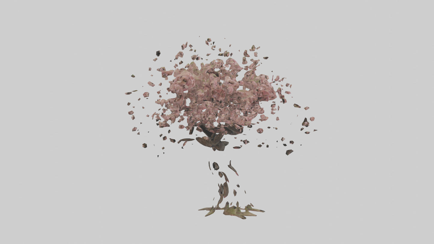 3D model Cherry tree model VR / AR / low-poly